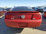 2008 Ford Mustang  Red vin: 1ZVHT80N085167801