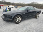 2008 Ford Mustang  Black vin: 1ZVHT80N185115206