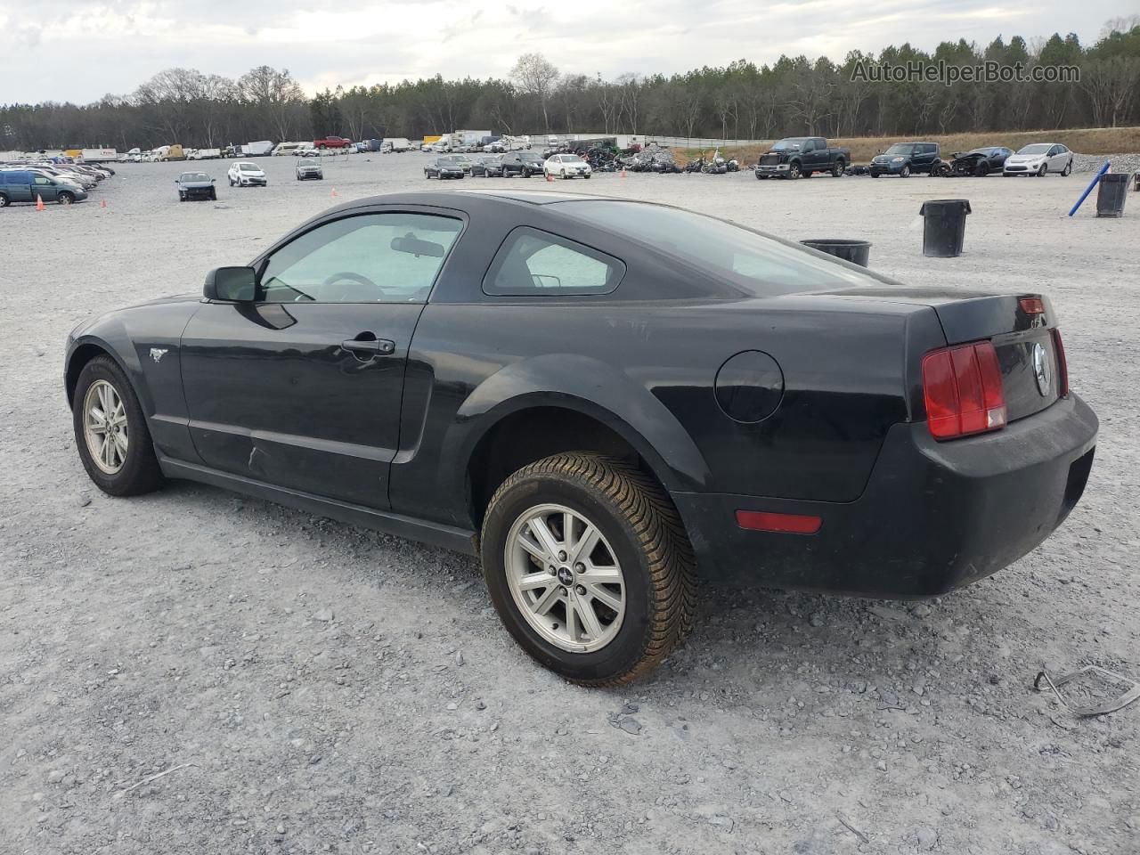 2008 Ford Mustang  Black vin: 1ZVHT80N185115206