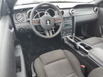 2008 Ford Mustang  Черный vin: 1ZVHT80N185115206