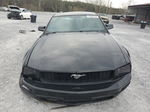 2008 Ford Mustang  Black vin: 1ZVHT80N185115206