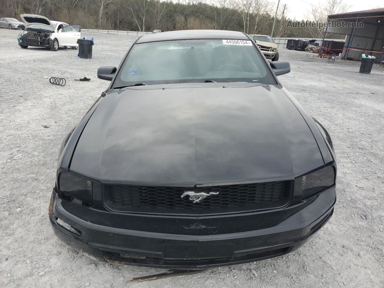 2008 Ford Mustang  Черный vin: 1ZVHT80N185115206