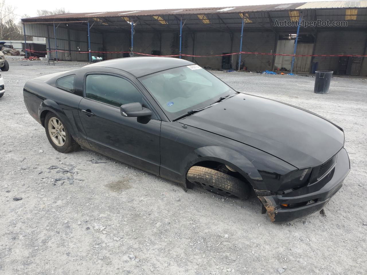 2008 Ford Mustang  Черный vin: 1ZVHT80N185115206