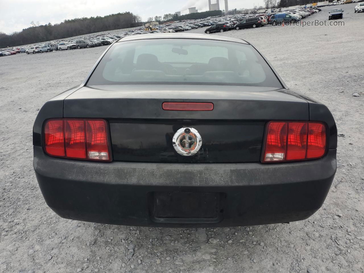 2008 Ford Mustang  Черный vin: 1ZVHT80N185115206