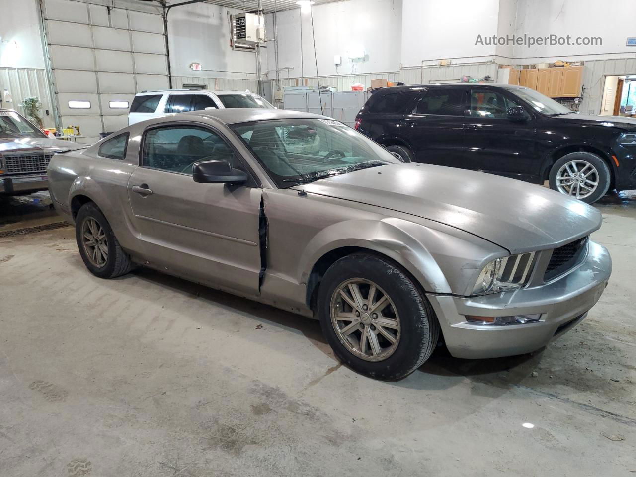 2008 Ford Mustang  Gray vin: 1ZVHT80N185168956