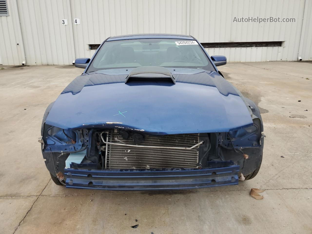 2008 Ford Mustang  Blue vin: 1ZVHT80N285112282