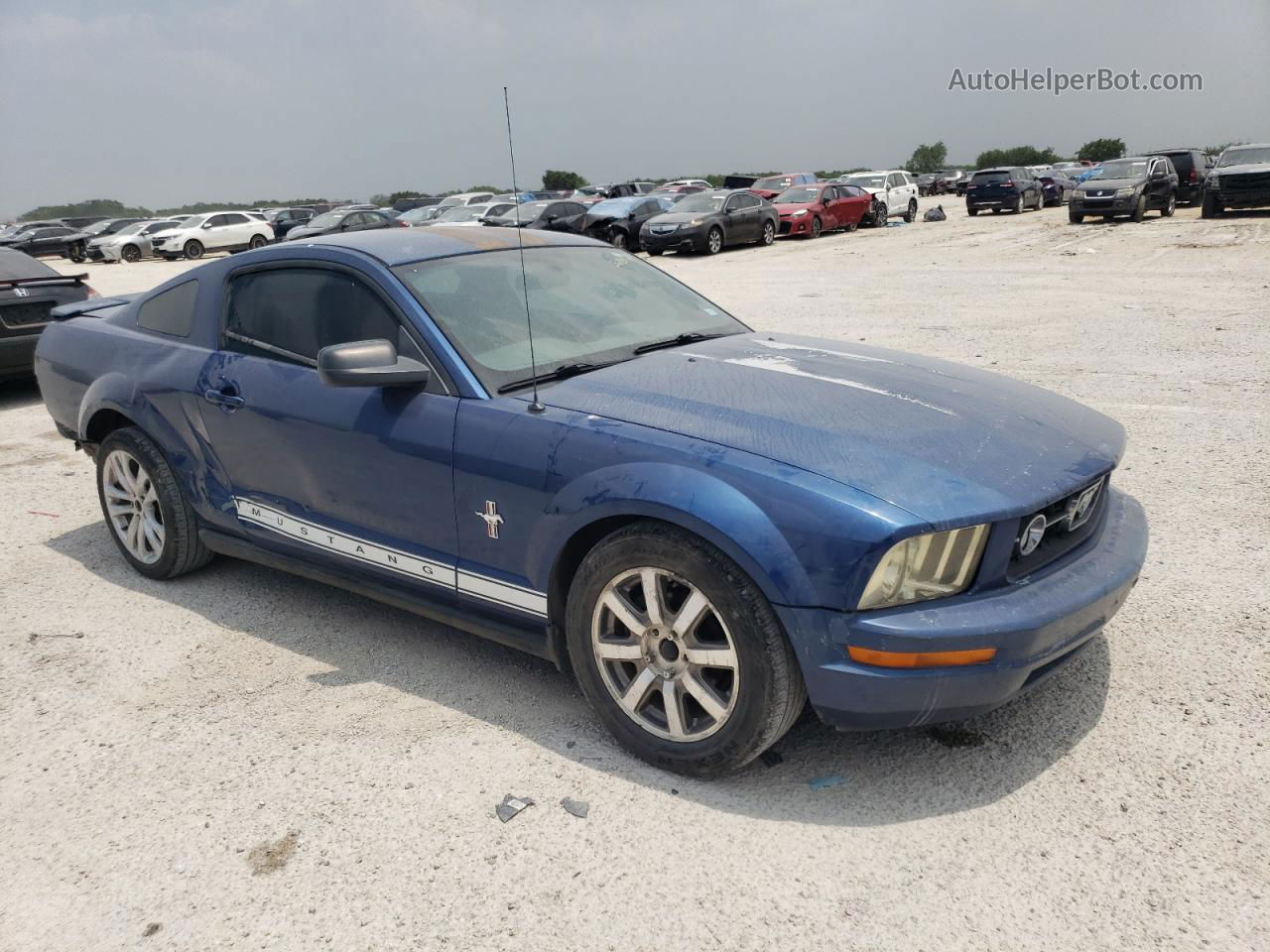 2008 Ford Mustang  Blue vin: 1ZVHT80N285150935