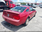 2008 Ford Mustang V6 Deluxe/v6 Premium Red vin: 1ZVHT80N285191680