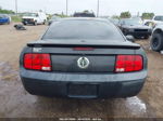 2008 Ford Mustang V6 Deluxe/v6 Premium Black vin: 1ZVHT80N285199942