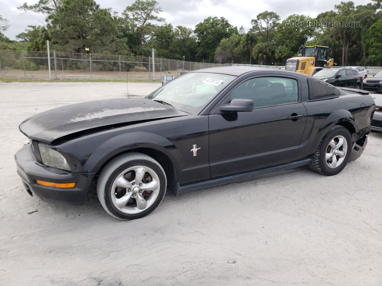 2008 Ford Mustang  Black vin: 1ZVHT80N385125770