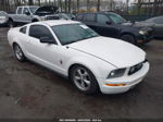 2008 Ford Mustang V6 Deluxe/v6 Premium Белый vin: 1ZVHT80N385154962