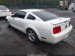 2008 Ford Mustang V6 Deluxe/v6 Premium Белый vin: 1ZVHT80N385154962