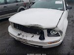 2008 Ford Mustang V6 Deluxe/v6 Premium Белый vin: 1ZVHT80N385154962