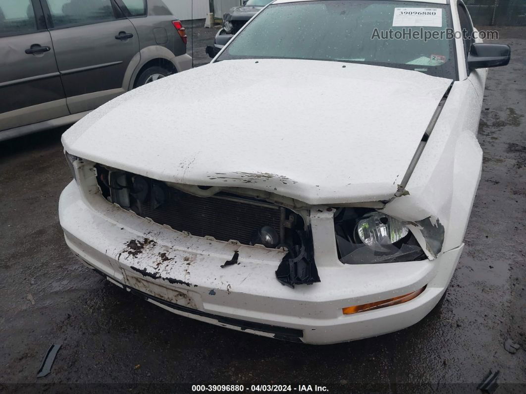 2008 Ford Mustang V6 Deluxe/v6 Premium White vin: 1ZVHT80N385154962