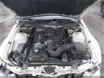 2008 Ford Mustang V6 Deluxe/v6 Premium Белый vin: 1ZVHT80N385154962