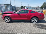 2008 Ford Mustang V6 Deluxe/v6 Premium Red vin: 1ZVHT80N385164990