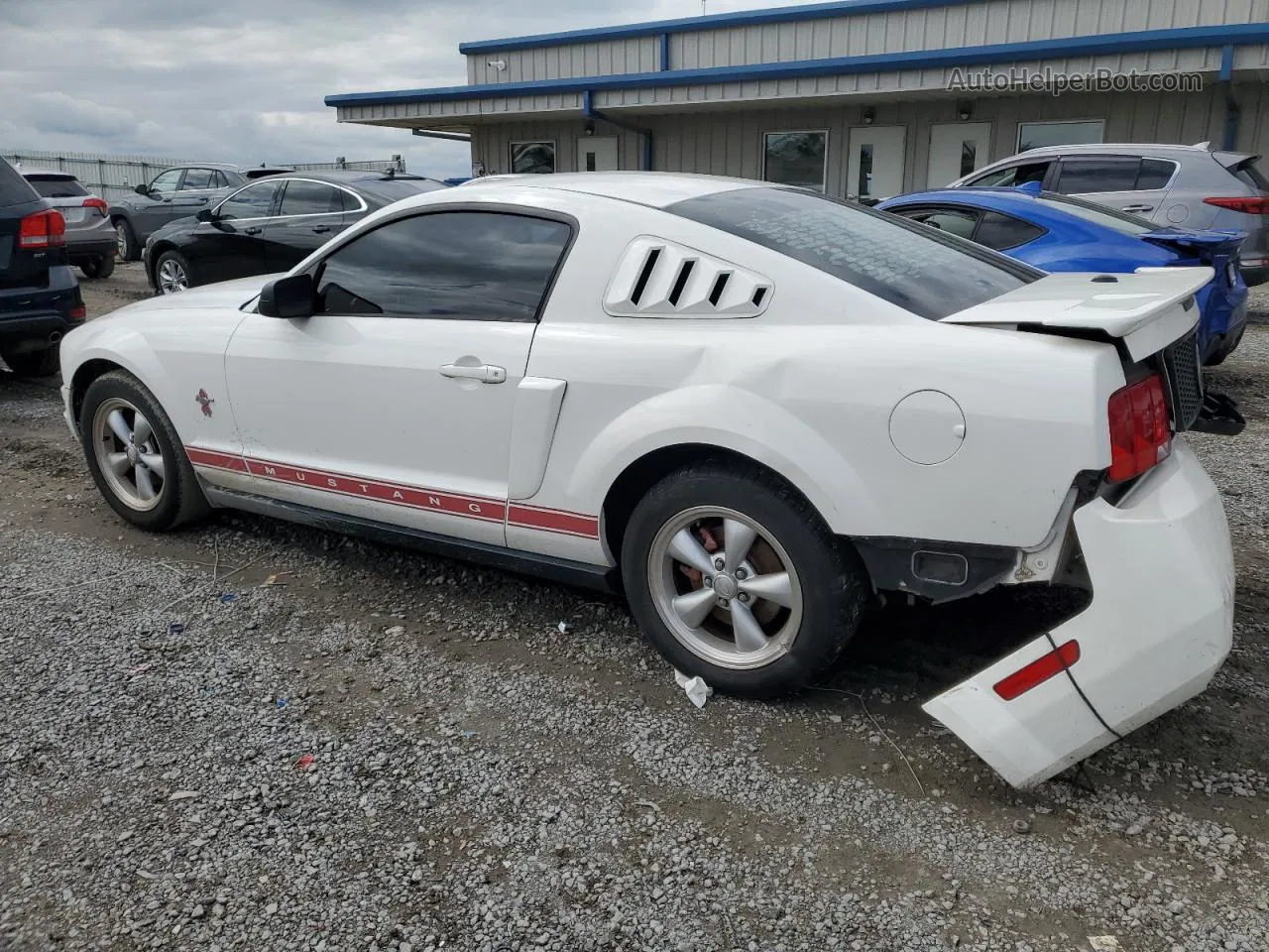 2008 Ford Mustang  White vin: 1ZVHT80N385171762