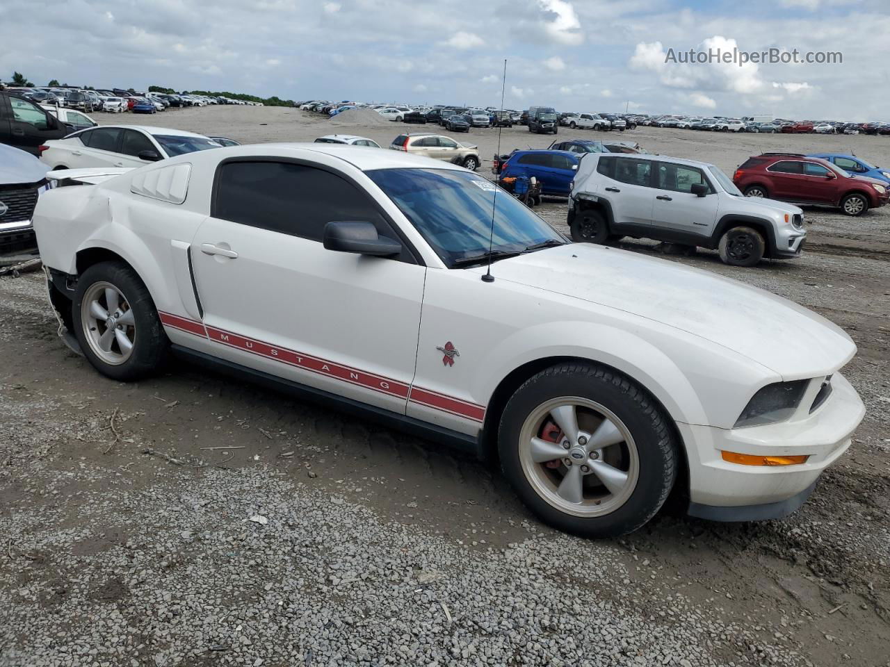 2008 Ford Mustang  White vin: 1ZVHT80N385171762