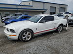 2008 Ford Mustang  White vin: 1ZVHT80N385171762