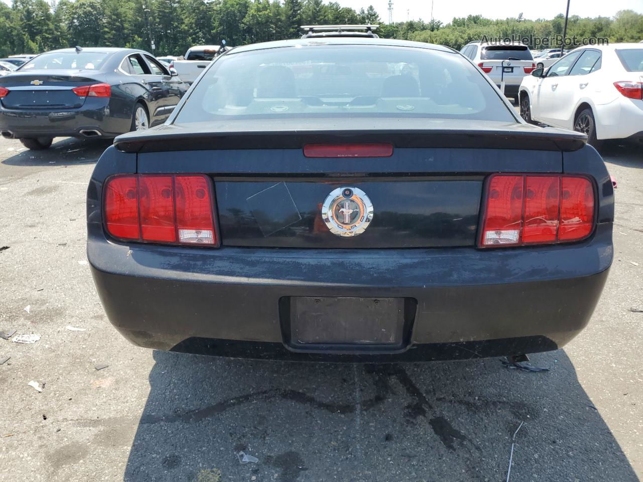 2008 Ford Mustang  Black vin: 1ZVHT80N385174340