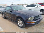 2008 Ford Mustang V6 Deluxe/v6 Premium Синий vin: 1ZVHT80N485111456