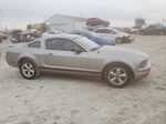 2008 Ford Mustang  Серый vin: 1ZVHT80N485132257