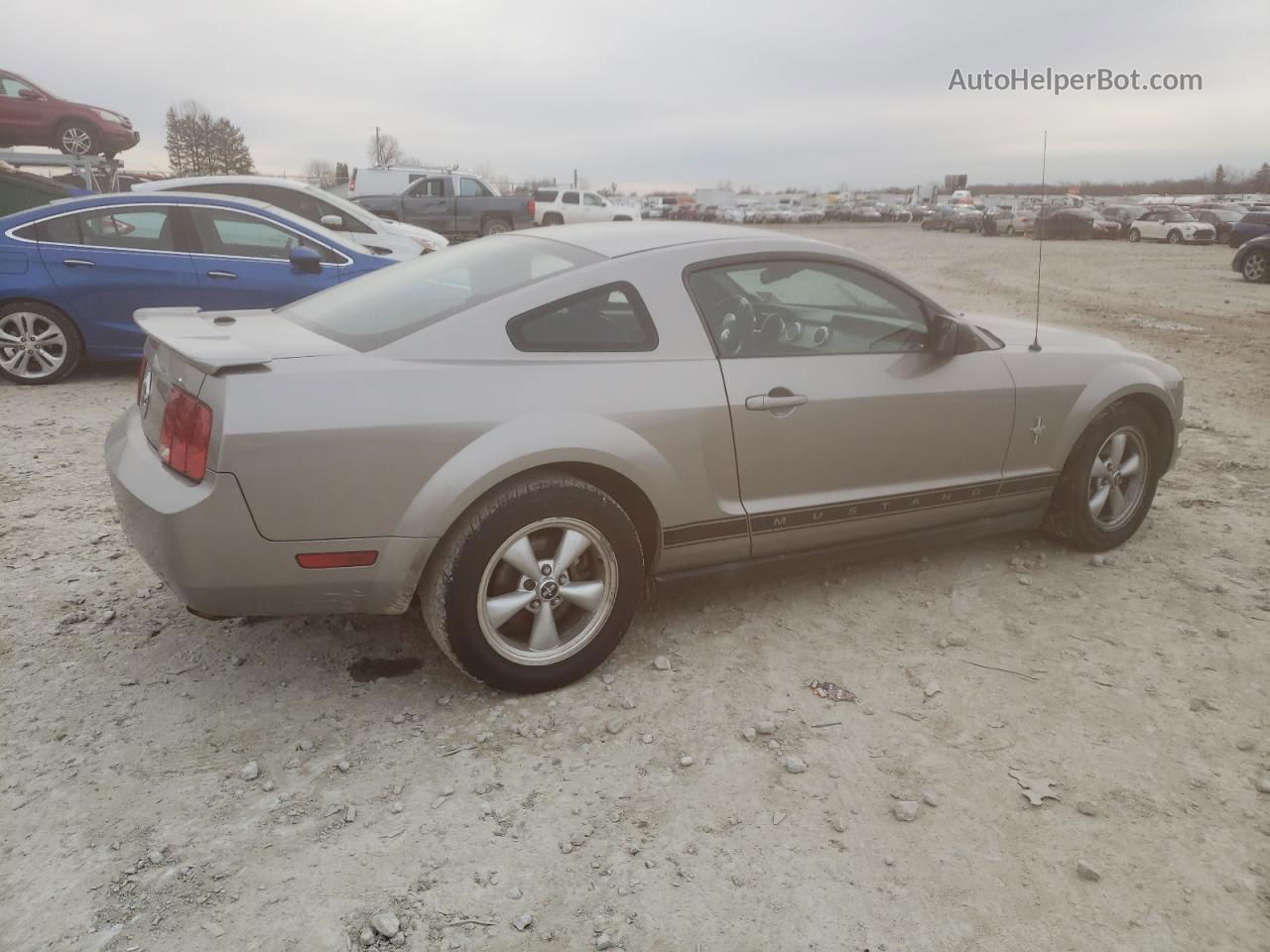 2008 Ford Mustang  Серый vin: 1ZVHT80N485132257