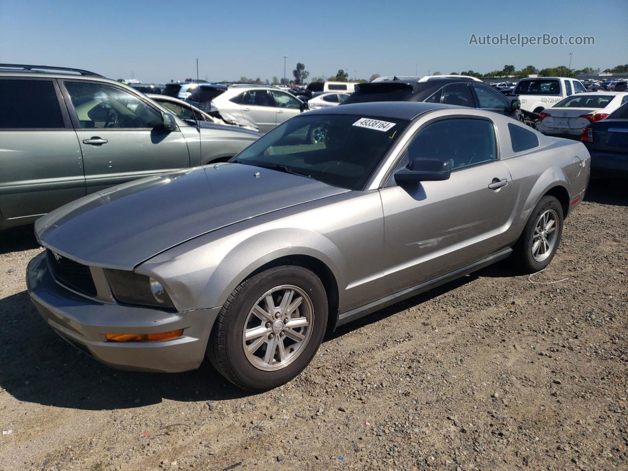 2008 Ford Mustang  Silver vin: 1ZVHT80N585109635