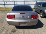 2008 Ford Mustang  Silver vin: 1ZVHT80N585109635