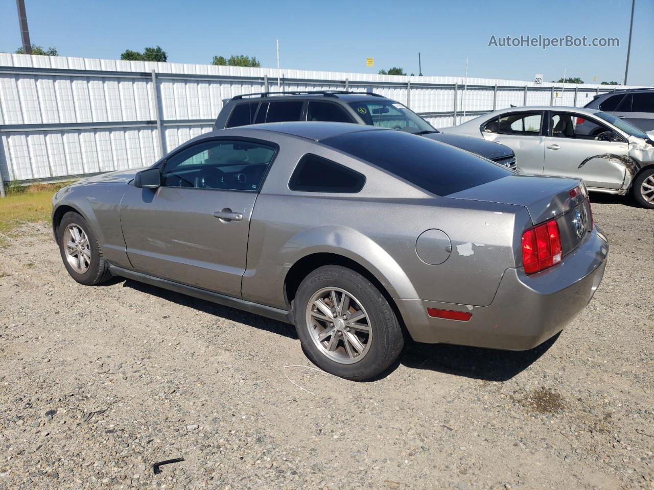 2008 Ford Mustang  Silver vin: 1ZVHT80N585109635