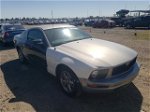 2008 Ford Mustang  Silver vin: 1ZVHT80N585109635