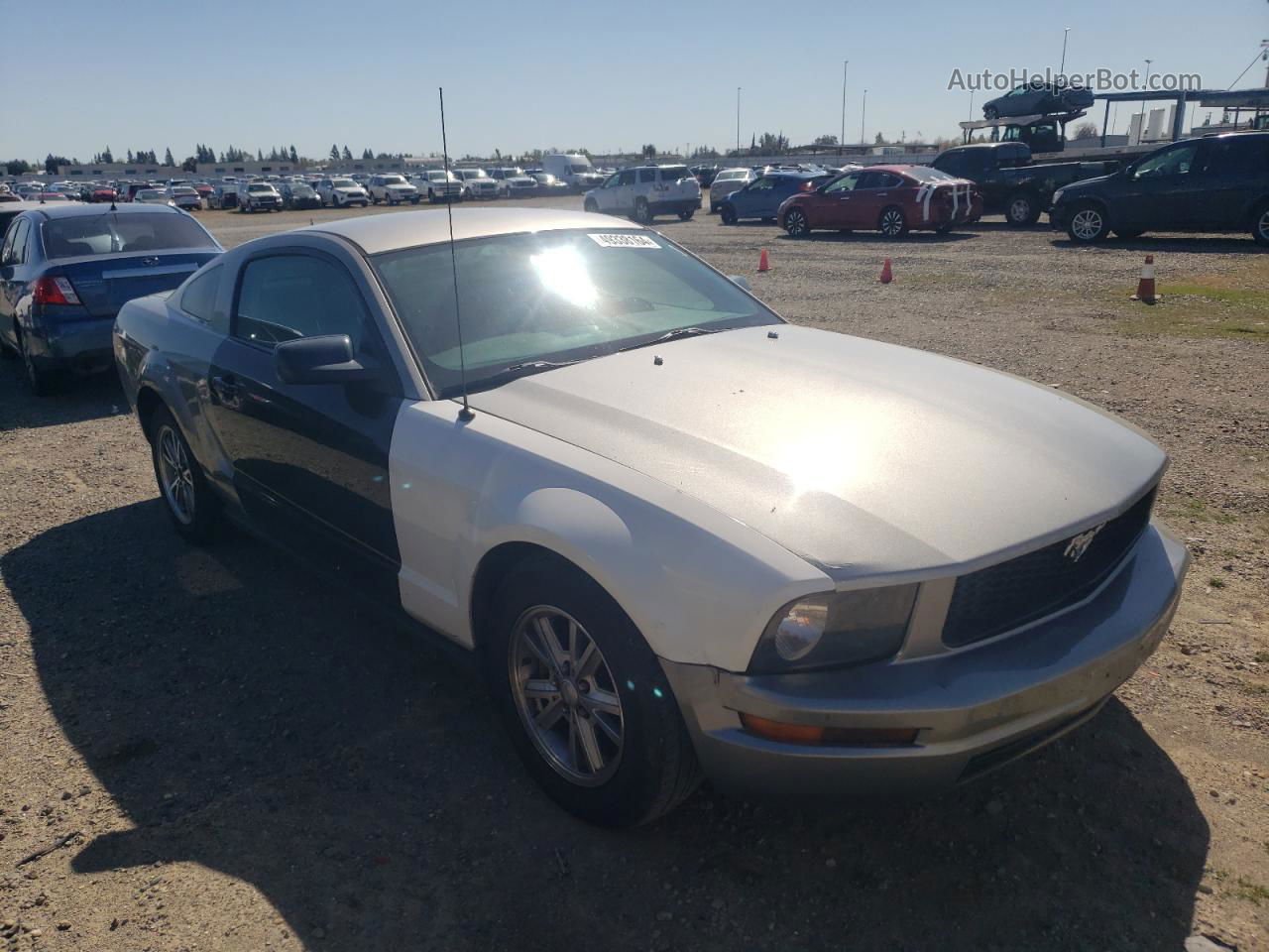 2008 Ford Mustang  Серебряный vin: 1ZVHT80N585109635