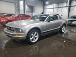 2008 Ford Mustang  Gray vin: 1ZVHT80N585117489