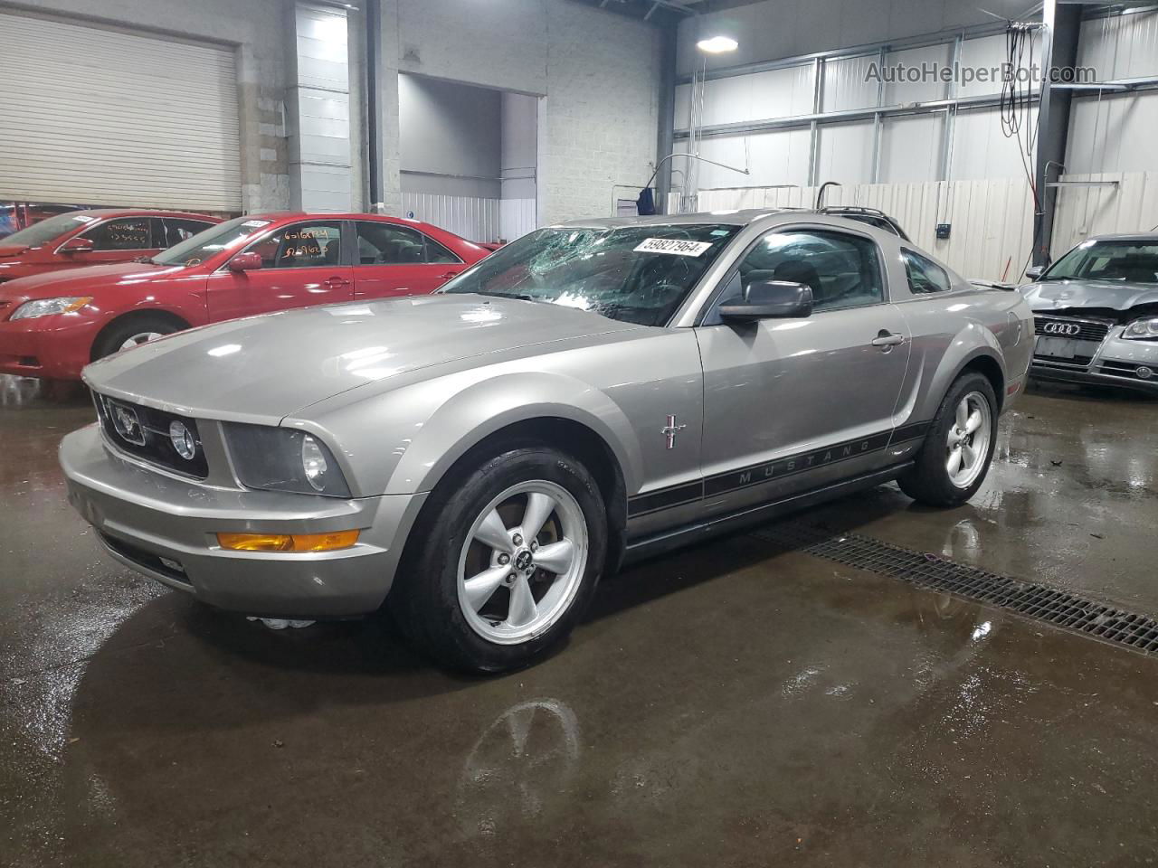 2008 Ford Mustang  Gray vin: 1ZVHT80N585117489