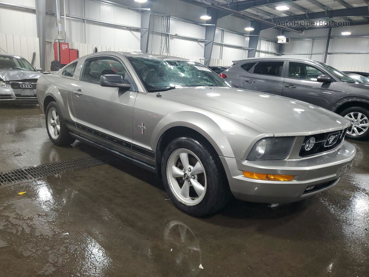 2008 Ford Mustang  Gray vin: 1ZVHT80N585117489