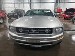 2008 Ford Mustang  Gray vin: 1ZVHT80N585117489