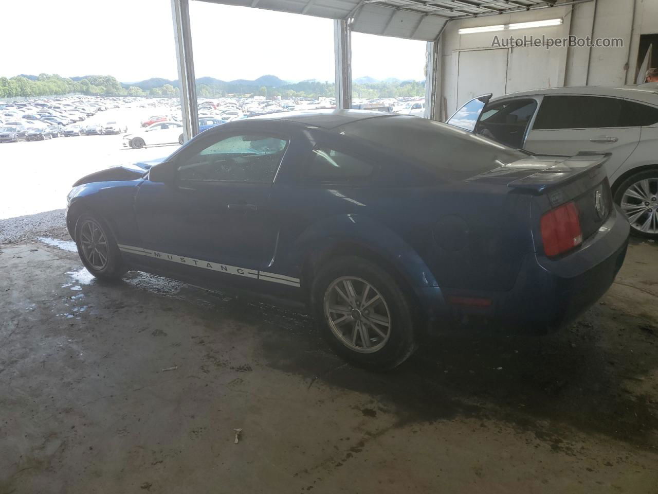 2008 Ford Mustang  Blue vin: 1ZVHT80N585118030