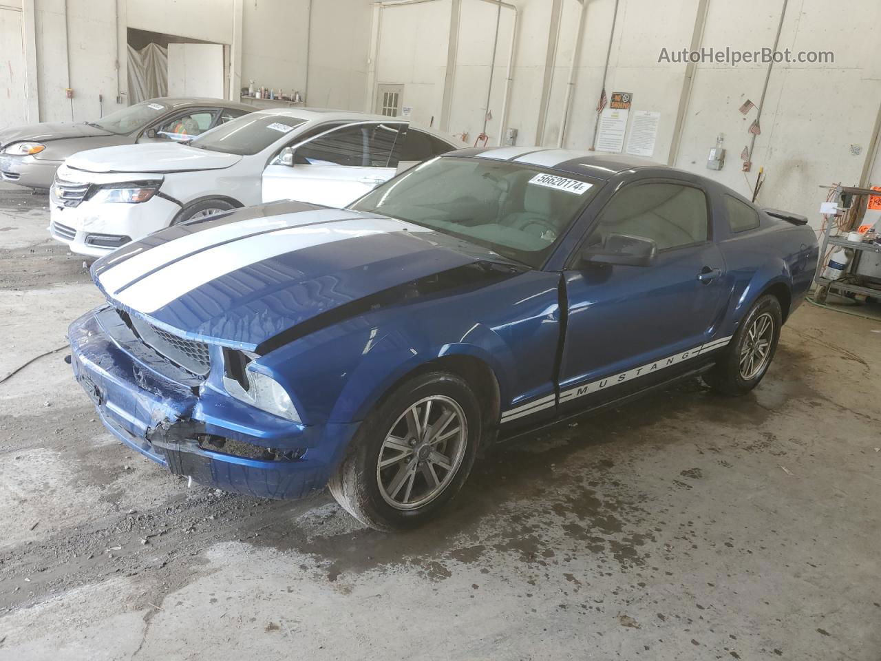 2008 Ford Mustang  Blue vin: 1ZVHT80N585118030