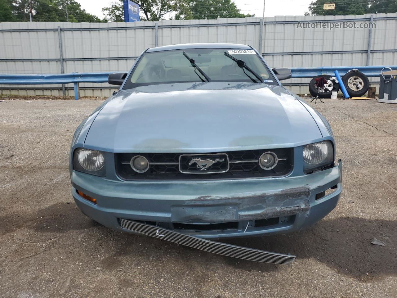 2008 Ford Mustang  Синий vin: 1ZVHT80N585120568