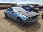 2008 Ford Mustang  Blue vin: 1ZVHT80N585128251