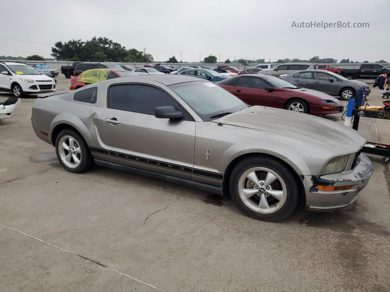 2008 Ford Mustang  Tan vin: 1ZVHT80N685104542