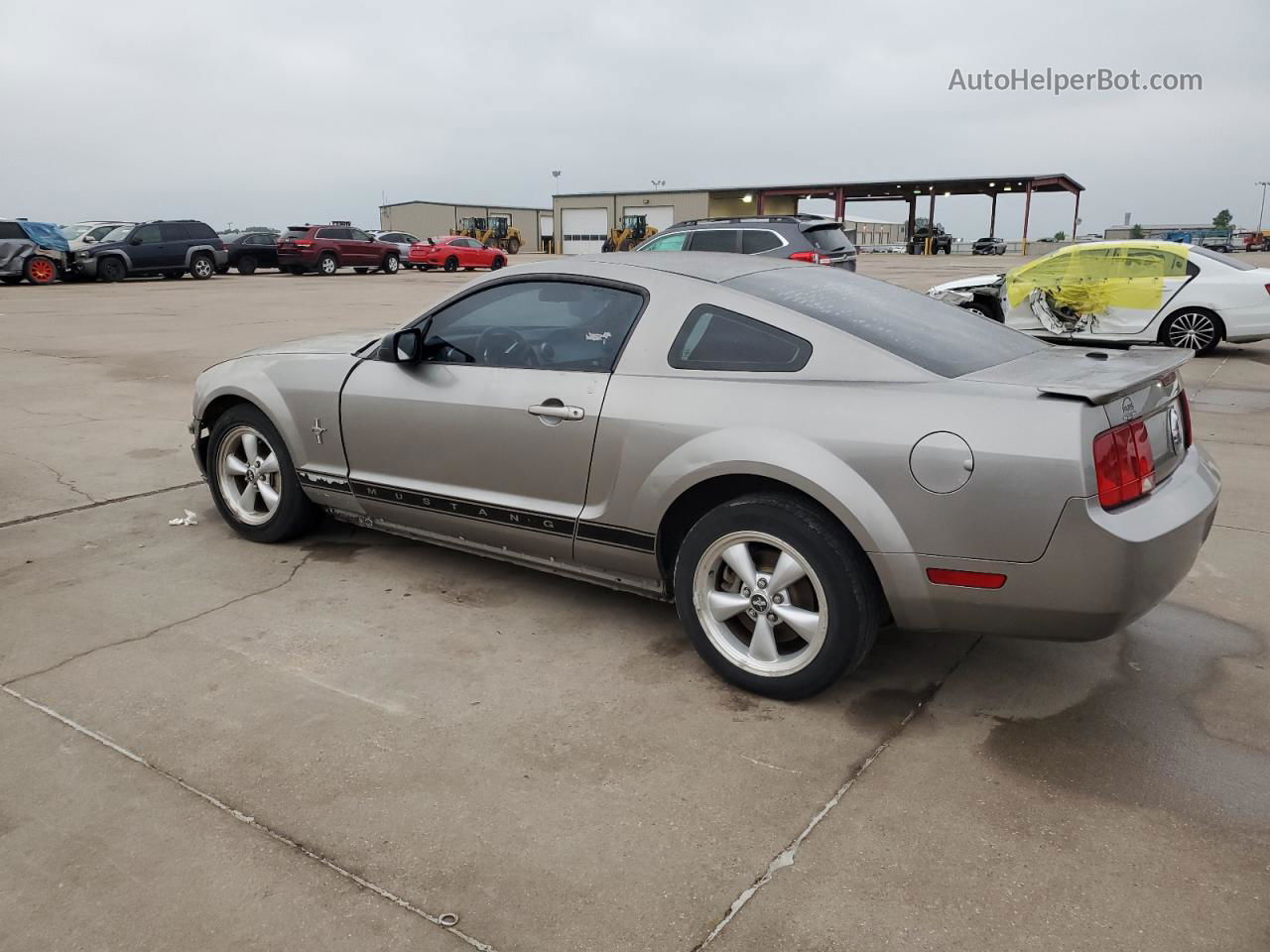 2008 Ford Mustang  Tan vin: 1ZVHT80N685104542