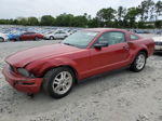 2008 Ford Mustang  Красный vin: 1ZVHT80N685120532