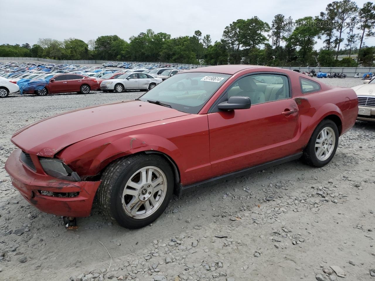 2008 Ford Mustang  Red vin: 1ZVHT80N685120532