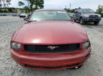 2008 Ford Mustang  Красный vin: 1ZVHT80N685120532