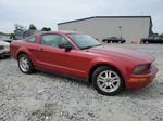 2008 Ford Mustang  Красный vin: 1ZVHT80N685120532