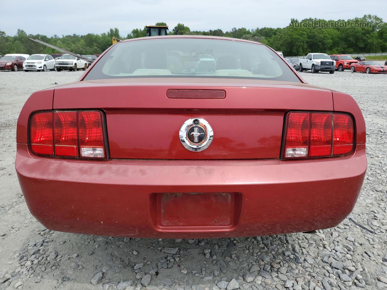 2008 Ford Mustang  Красный vin: 1ZVHT80N685120532