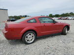 2008 Ford Mustang  Красный vin: 1ZVHT80N685120532