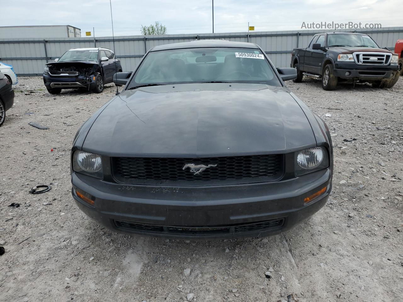 2008 Ford Mustang  Черный vin: 1ZVHT80N685176888