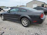 2008 Ford Mustang  Black vin: 1ZVHT80N685176888